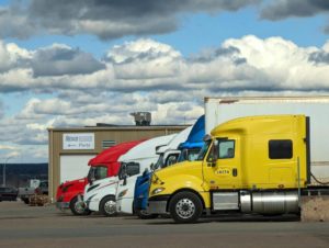 trucks in a shipping yard